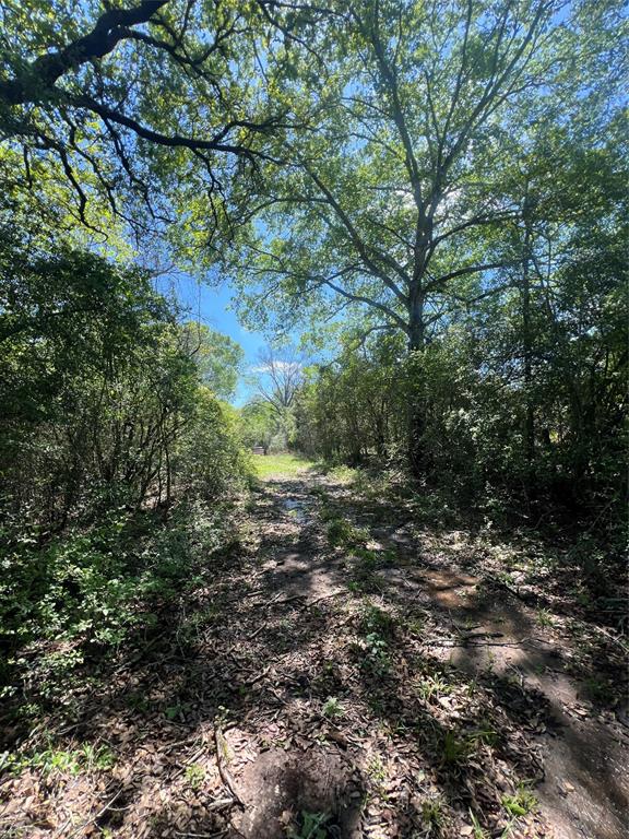 768 Meadow Bend Road, Bellville, Texas image 7