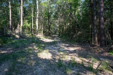 Vacant Land For Sale - TBD County Rd 3000<br/> Woodville, TX 75979
