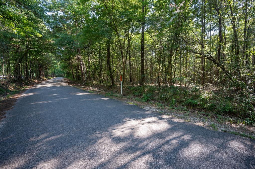 Tbd County Rd 3000, Woodville, Texas image 7