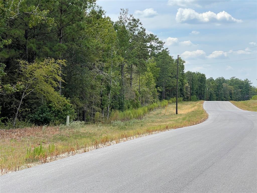 13-21-58 Bighorn Road, New Waverly, Texas image 3