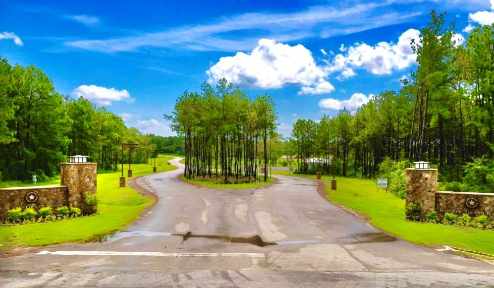 12050 High Branch Way Way, Willis, Texas image 2