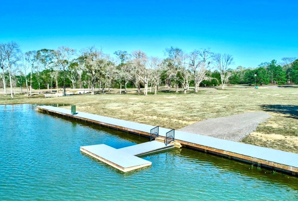 12050 High Branch Way Way, Willis, Texas image 6