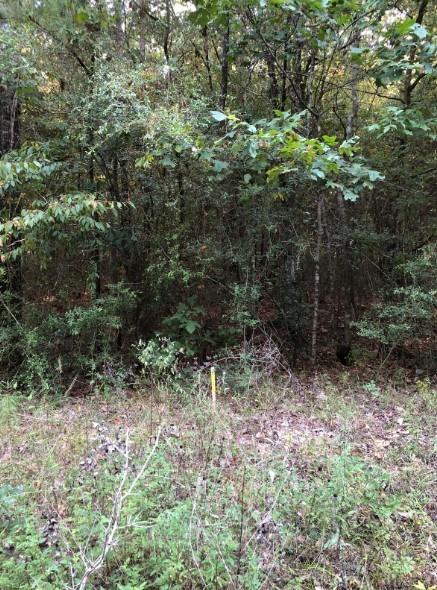 Co Rd 2746, Cleveland, Texas image 3