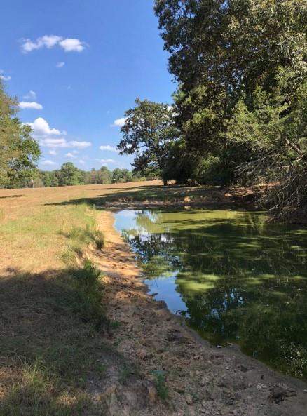 Co Rd 2746, Cleveland, Texas image 4