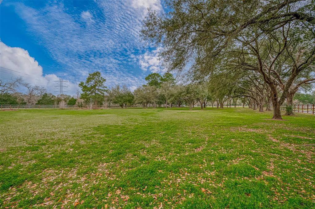 000 Zion Road, Tomball, Texas image 8