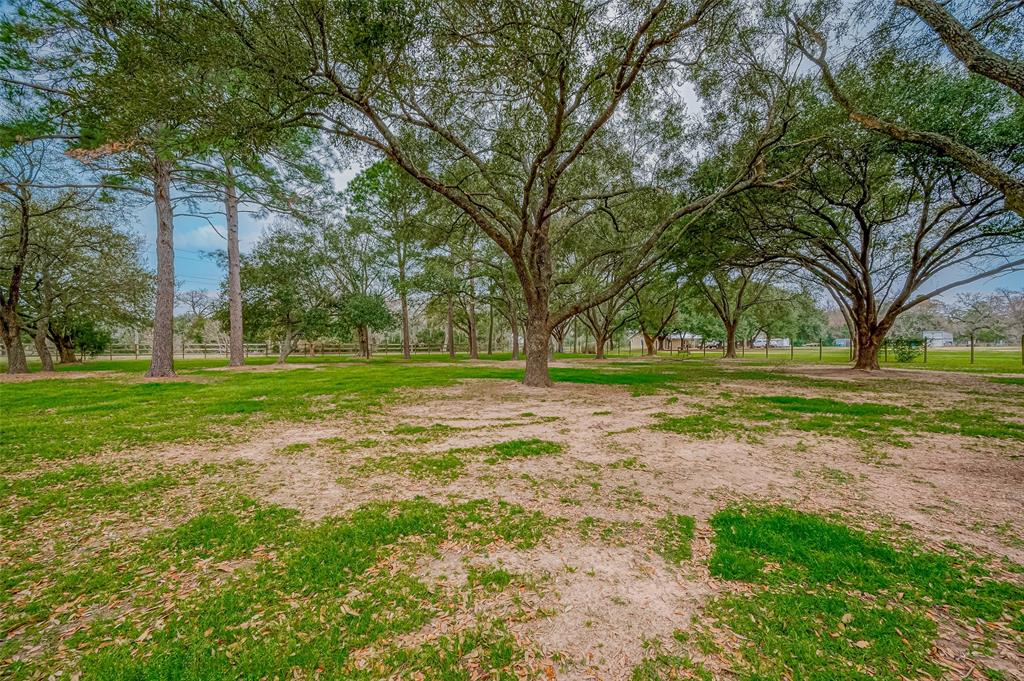 000 Zion Road, Tomball, Texas image 17