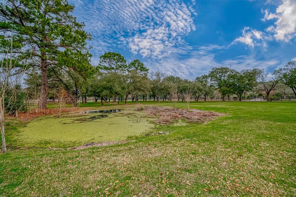 000 Zion Road, Tomball, Texas image 16
