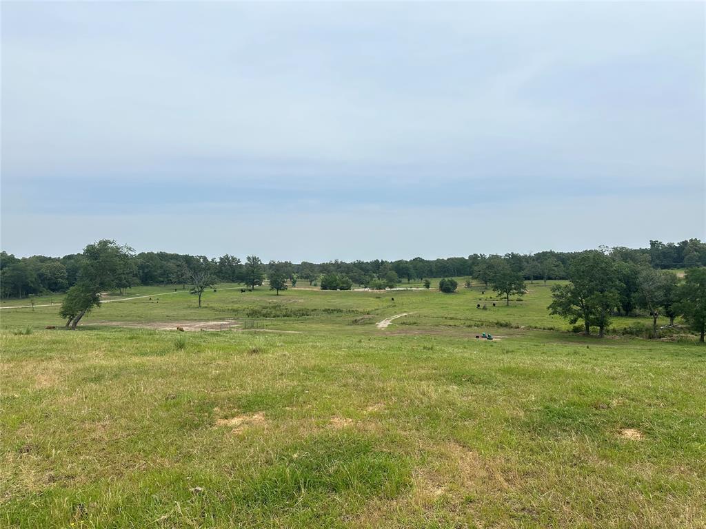 9289 County Road 329, Buffalo, Texas image 3