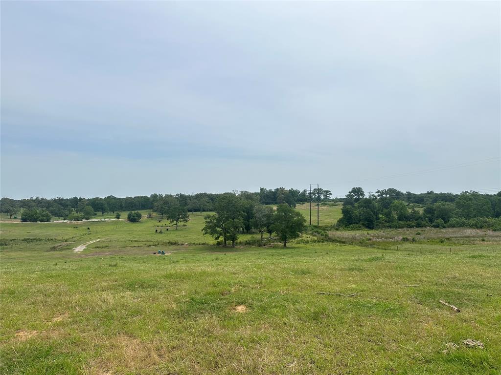 9289 County Road 329, Buffalo, Texas image 4