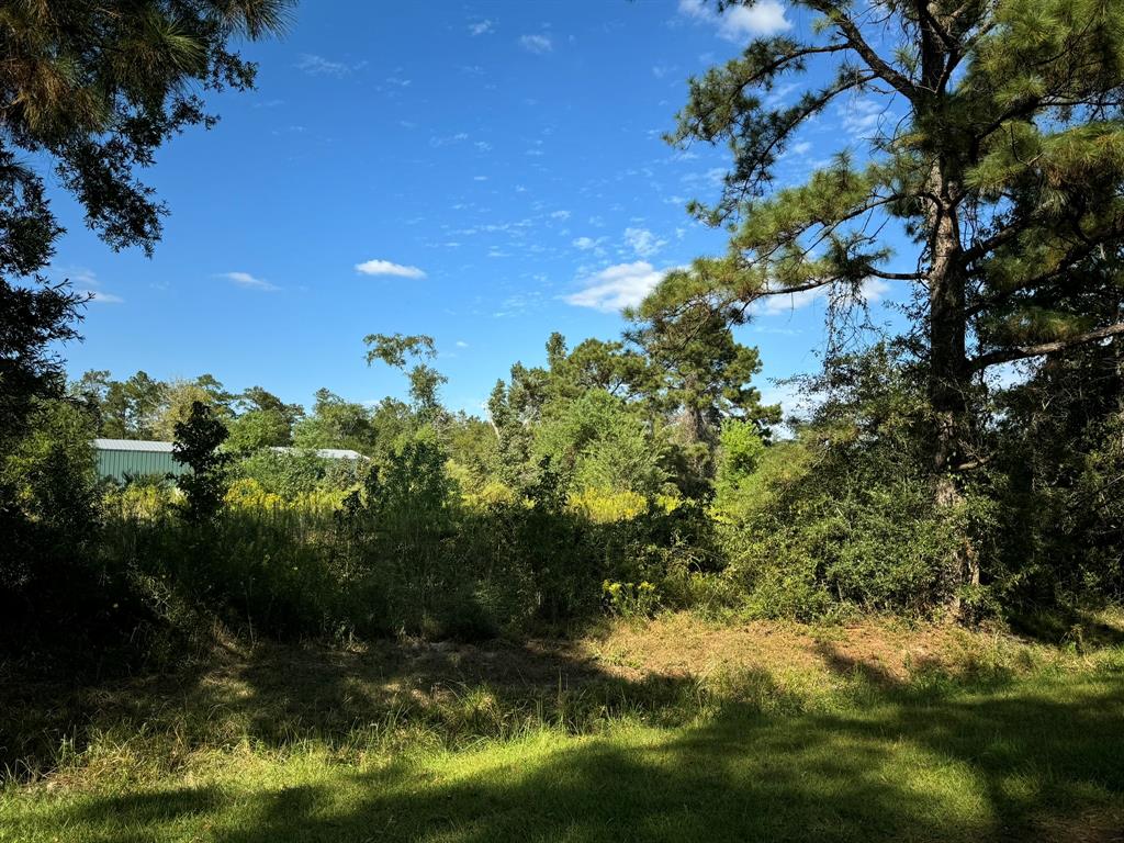 Lot 73 Pine Park Boulevard, Orange, Texas image 3