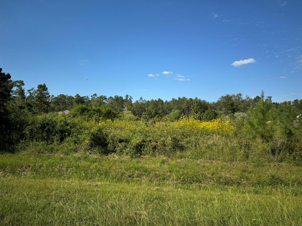 Lot 73 Pine Park Boulevard, Orange, Texas image 8