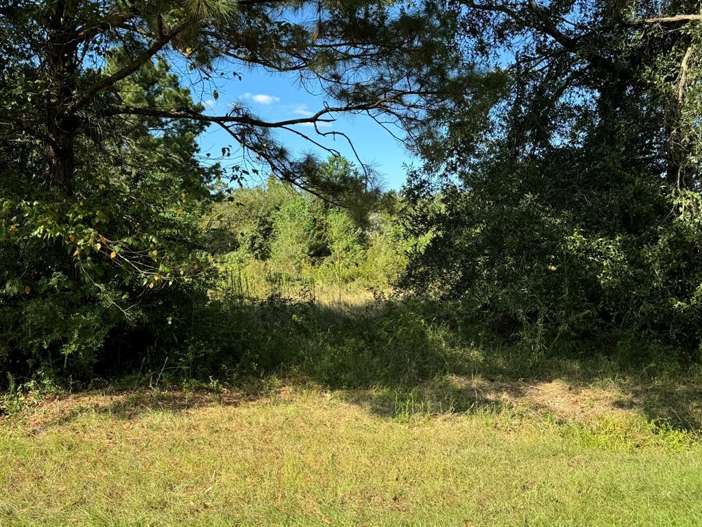 Lot 73 Pine Park Boulevard, Orange, Texas image 5