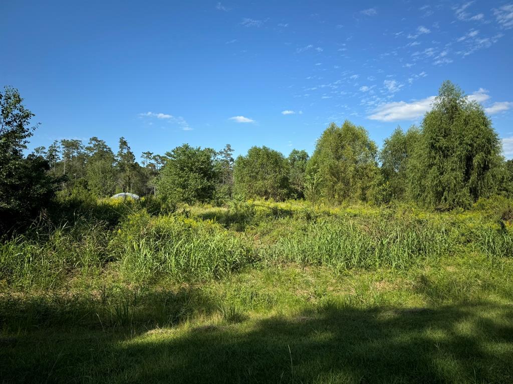 Lot 73 Pine Park Boulevard, Orange, Texas image 1