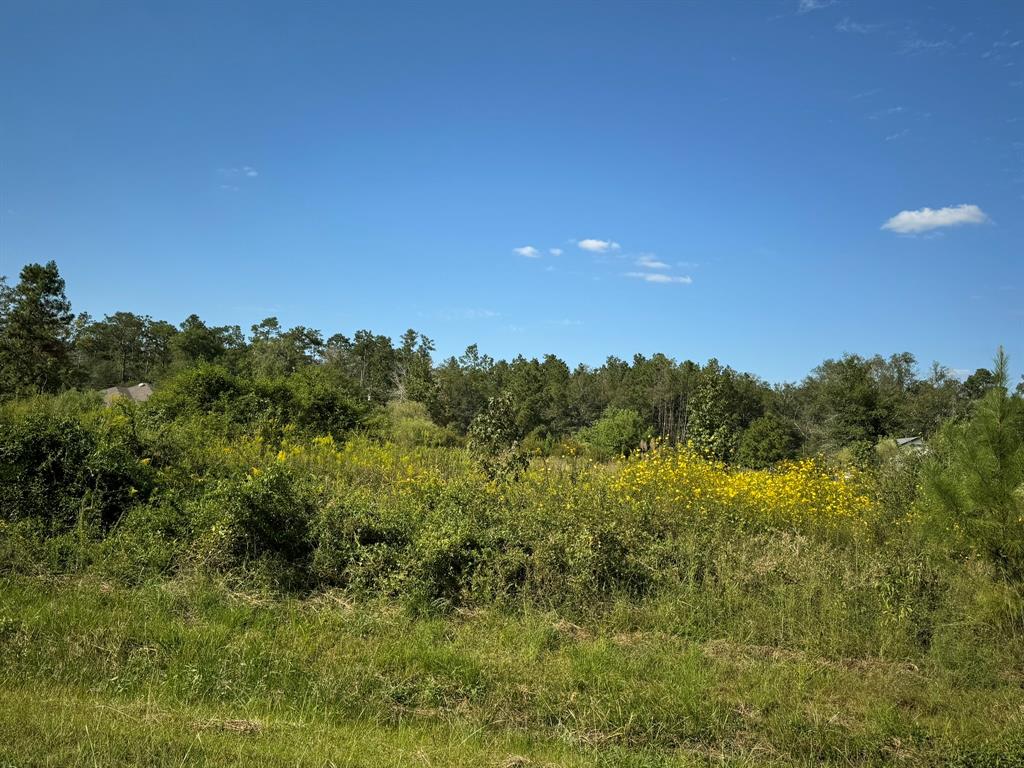 Lot 73 Pine Park Boulevard, Orange, Texas image 7