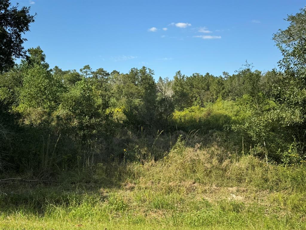 Lot 73 Pine Park Boulevard, Orange, Texas image 6