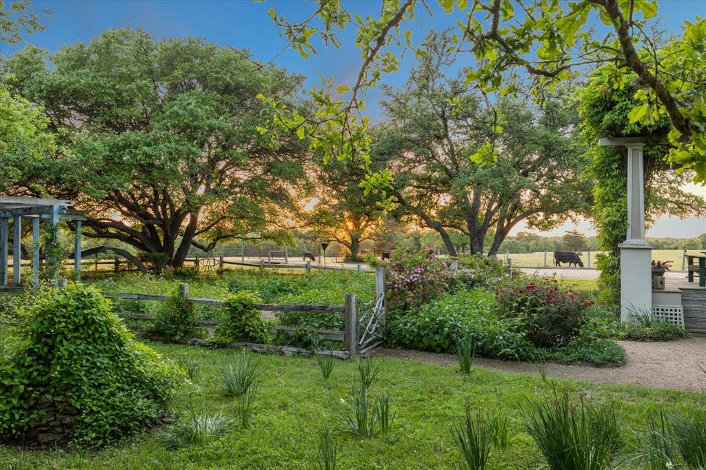 2915 Schulle Road, Round Top, Texas image 41