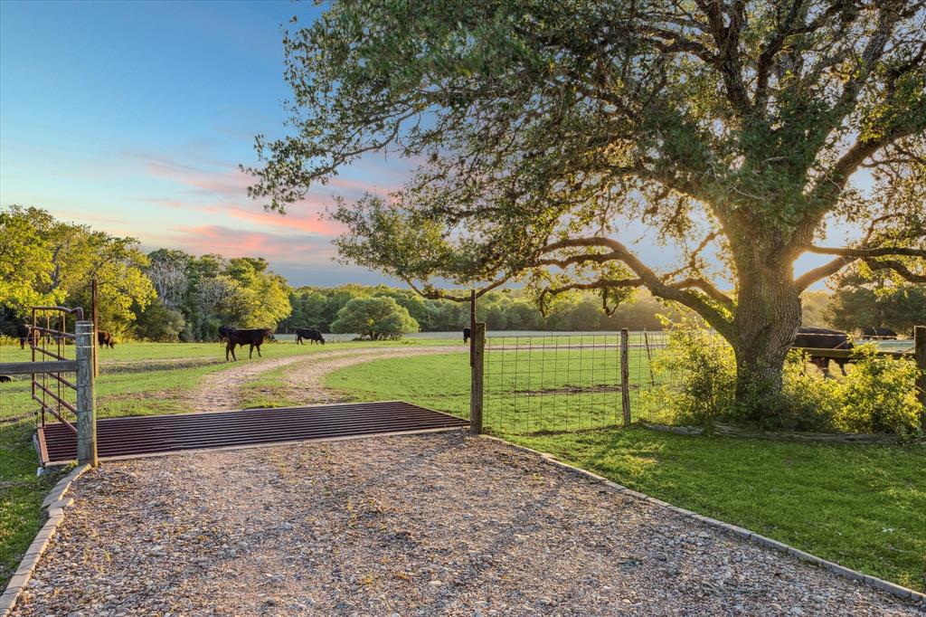 2915 Schulle Road, Round Top, Texas image 46