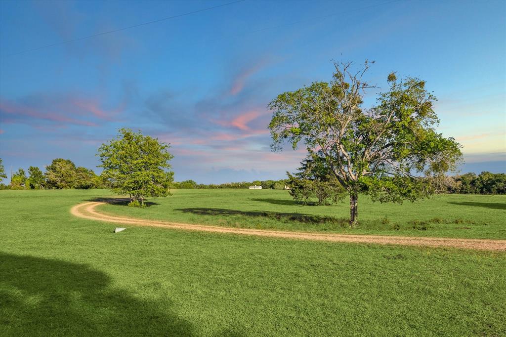 2915 Schulle Road, Round Top, Texas image 44