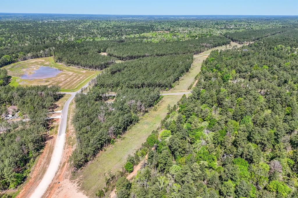 15866 Four Hills Road, Willis, Texas image 9