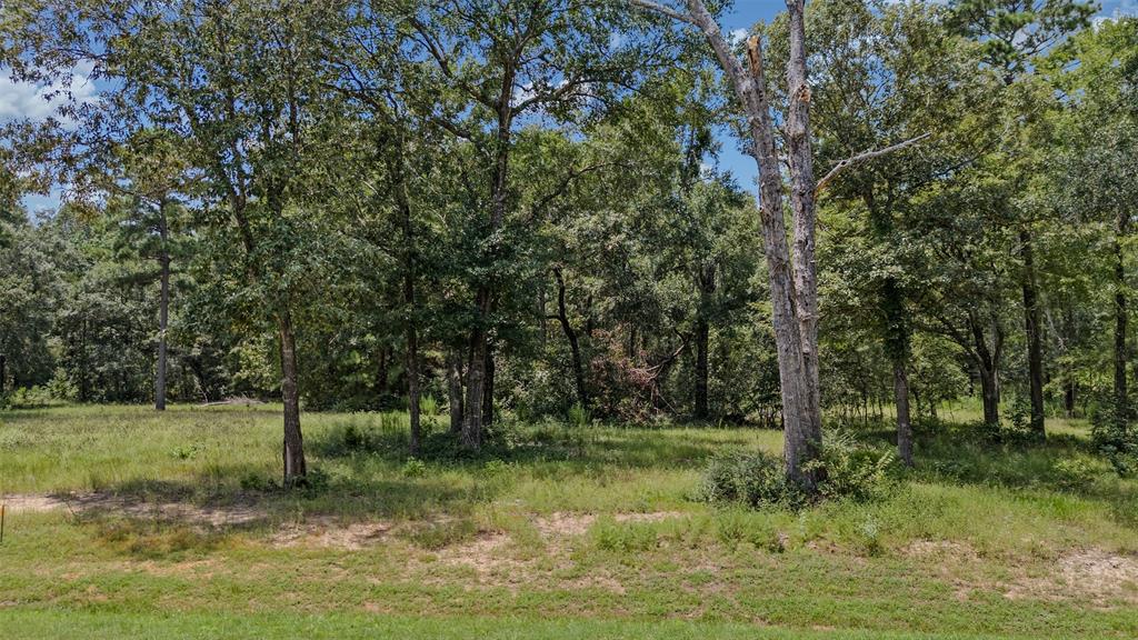 2448 Old Ranch Road