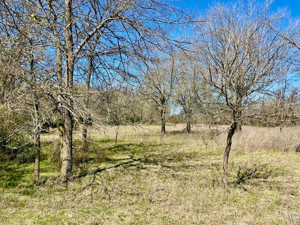 TBD 1 Templeton Road, Hearne, Texas image 10