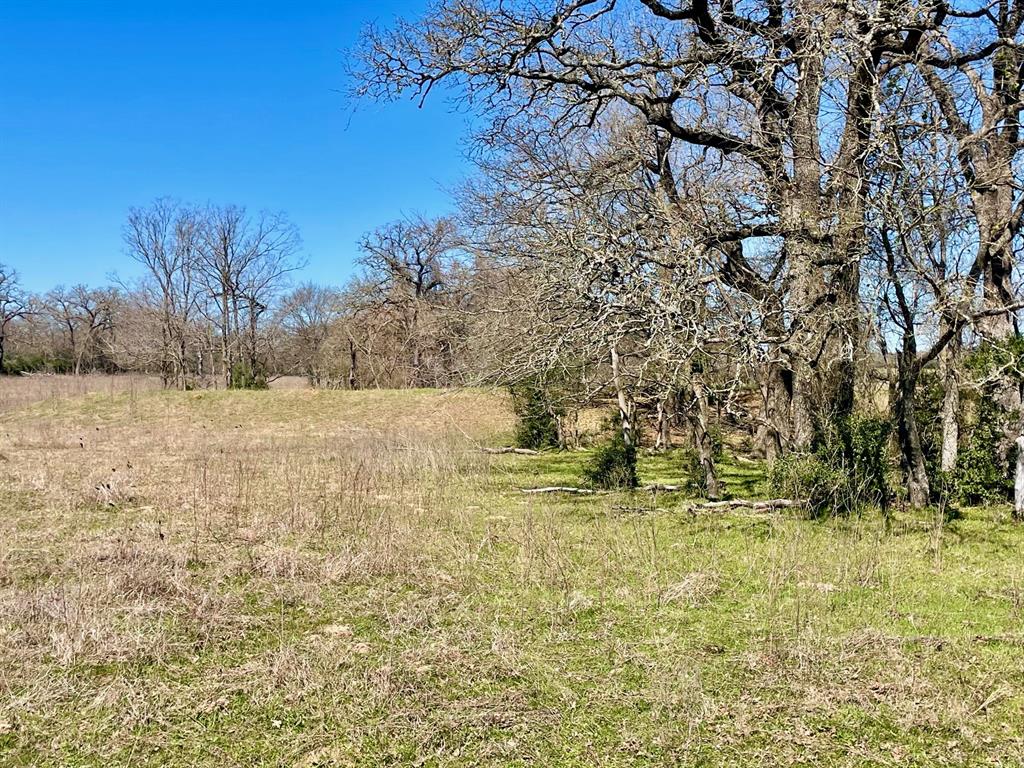 TBD 1 Templeton Road, Hearne, Texas image 8