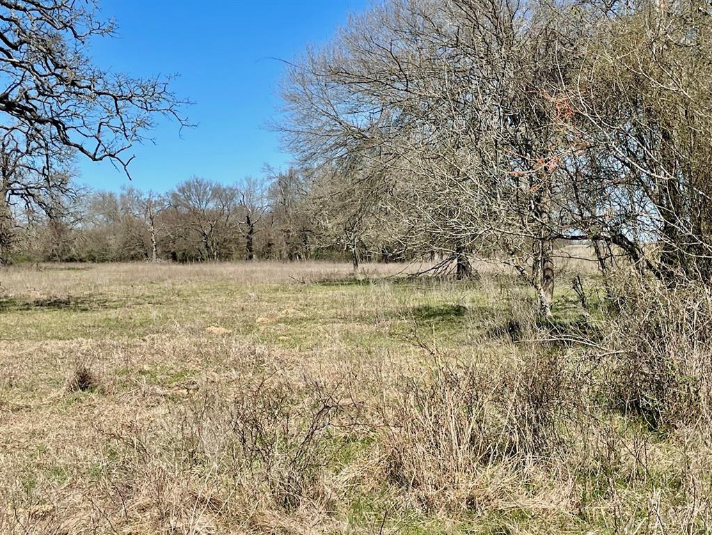 TBD 1 Templeton Road, Hearne, Texas image 2