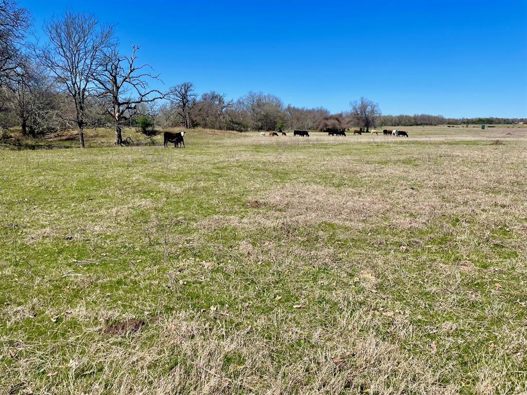 TBD 1 Templeton Road, Hearne, Texas image 1