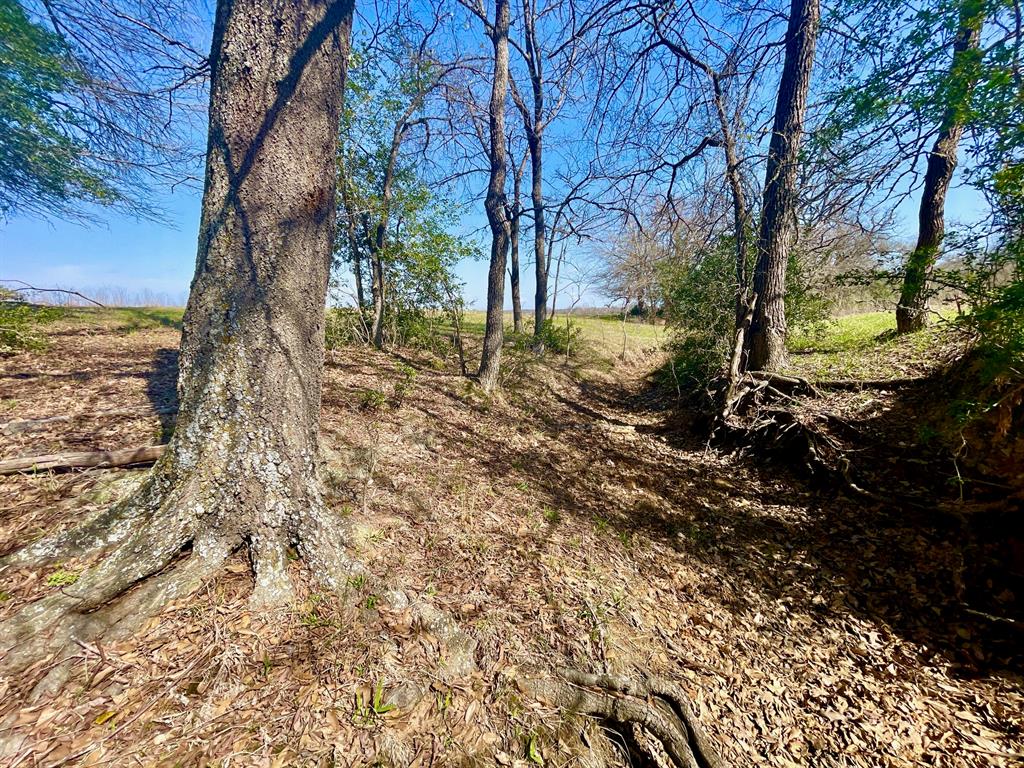 TBD 1 Templeton Road, Hearne, Texas image 9