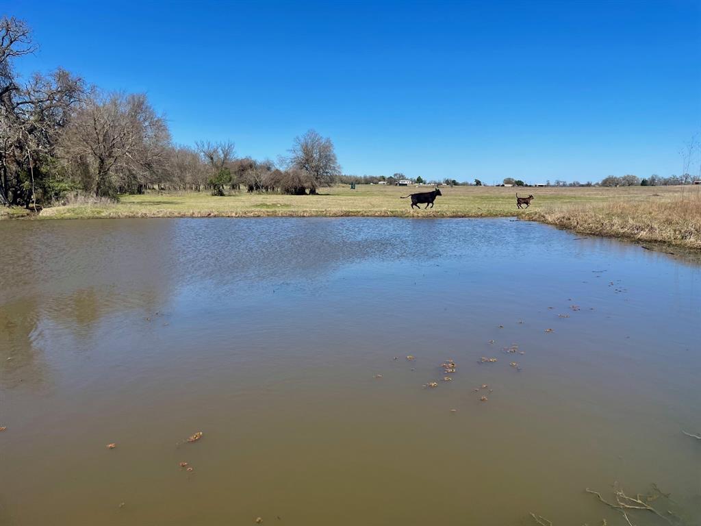 TBD 1 Templeton Road, Hearne, Texas image 4
