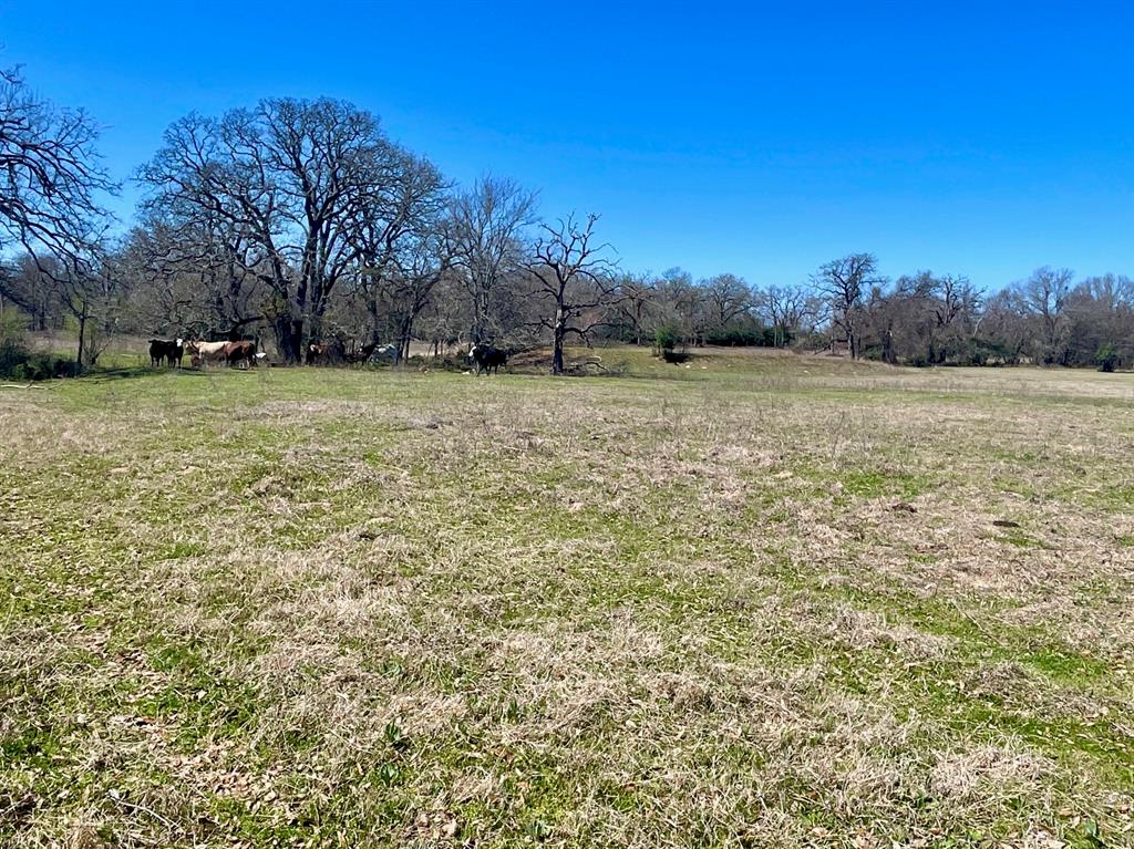 TBD 1 Templeton Road, Hearne, Texas image 16