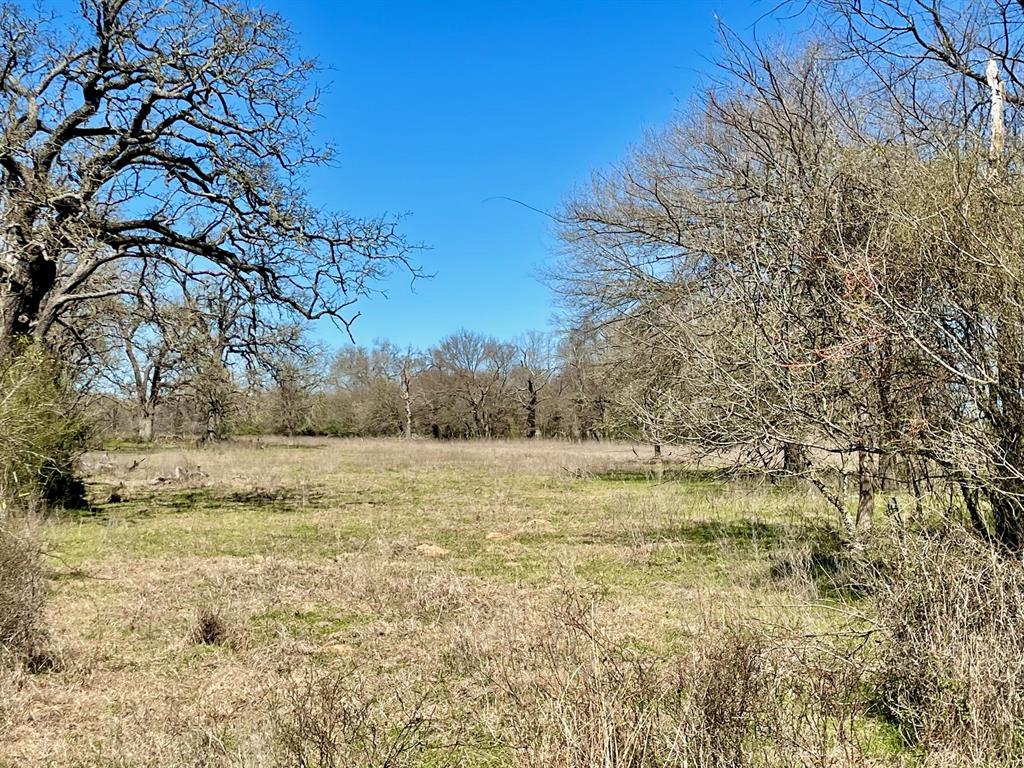 TBD 1 Templeton Road, Hearne, Texas image 11