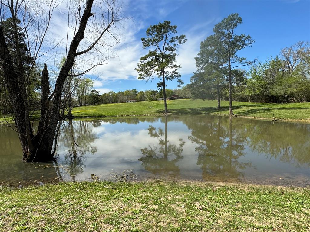 170 Ellis Lovett Road, Shepherd, Texas image 1