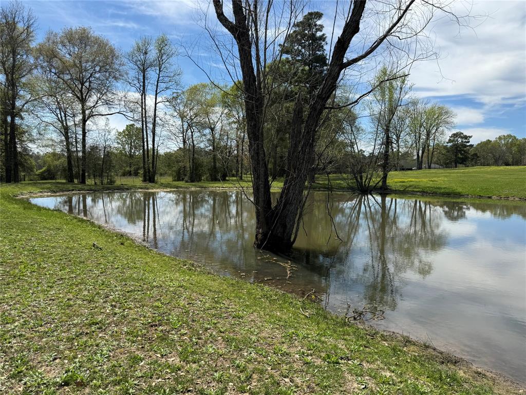 170 Ellis Lovett Road, Shepherd, Texas image 5