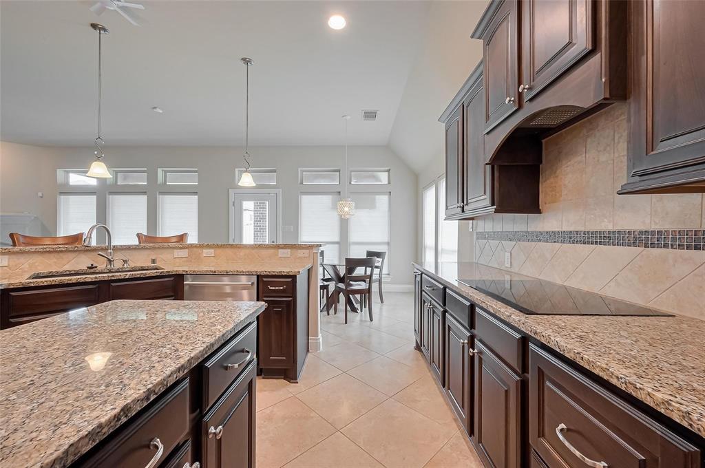 2722 Park Oak Court, Fresno, Texas image 16