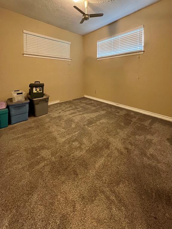 703 W Park Street, Vidor, Texas image 11