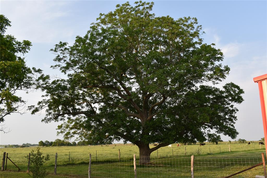 443 County Road 280, Shiner, Texas image 28