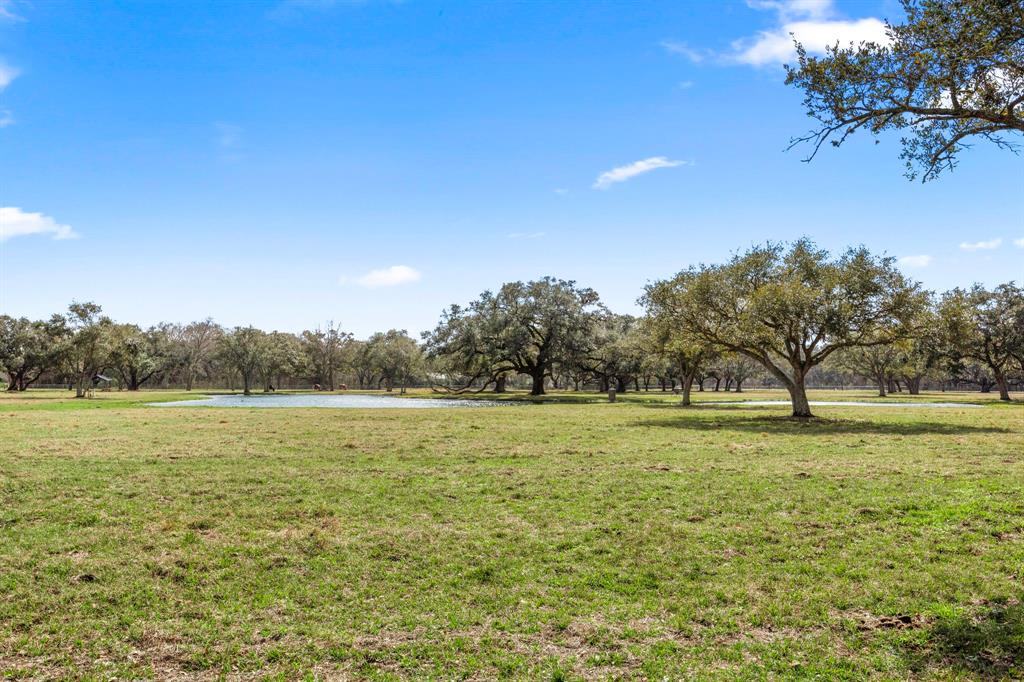 1980 County Road 220, Angleton, Texas image 42