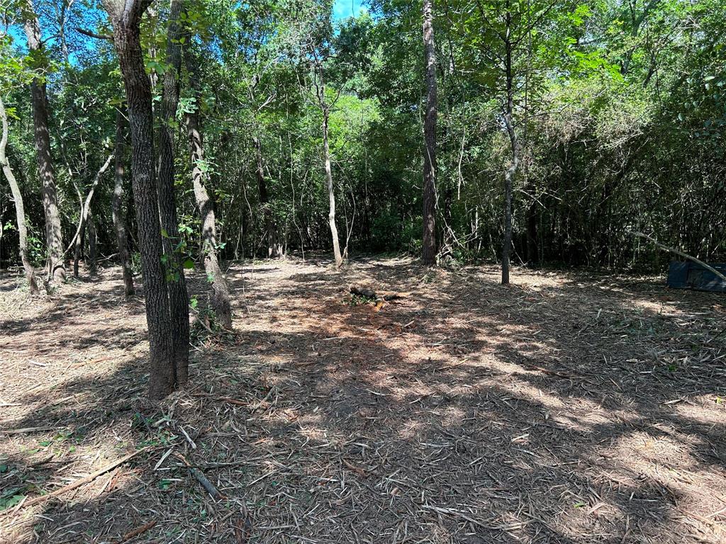 14948 Colt Lane