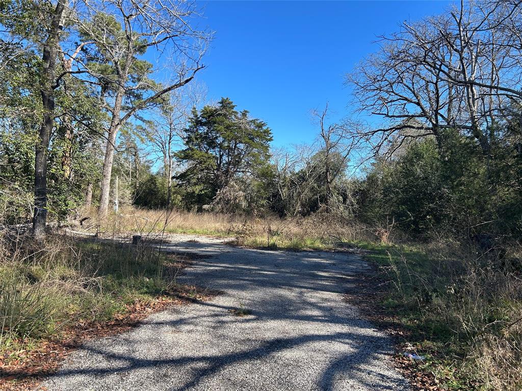 14948 Colt Lane, Willis, Texas image 6