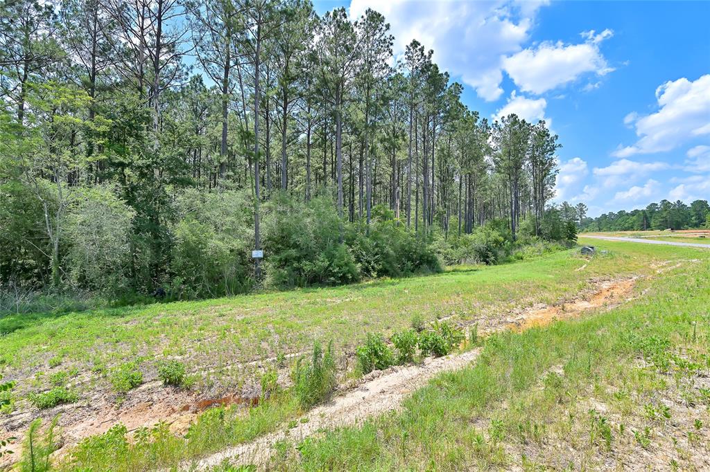 15469 Forest Grove Drive, Willis, Texas image 9
