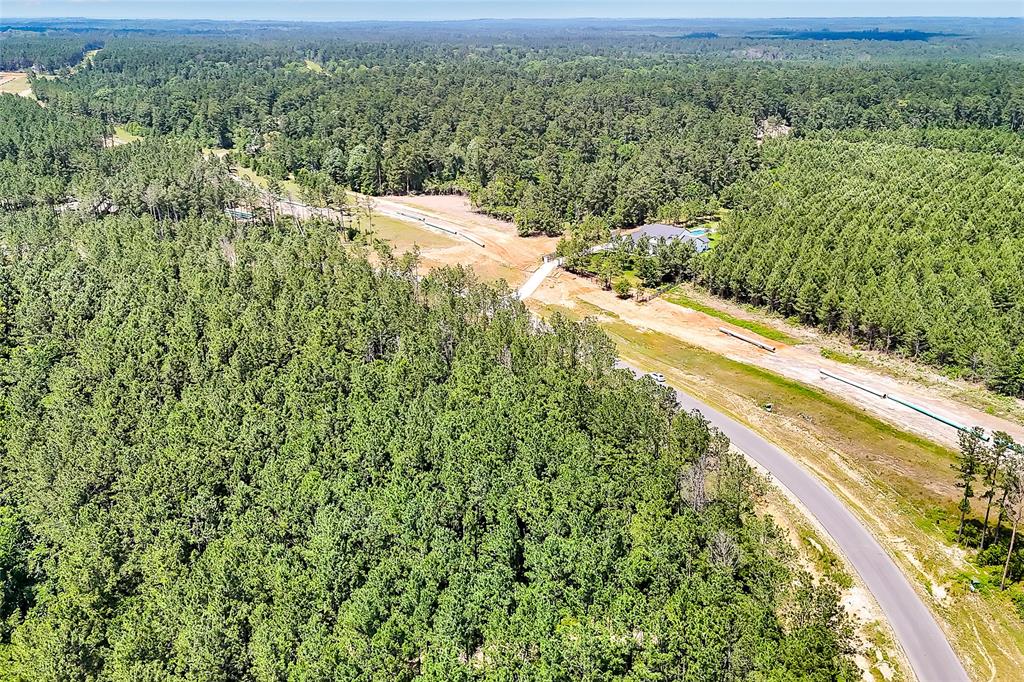 15469 Forest Grove Drive, Willis, Texas image 12