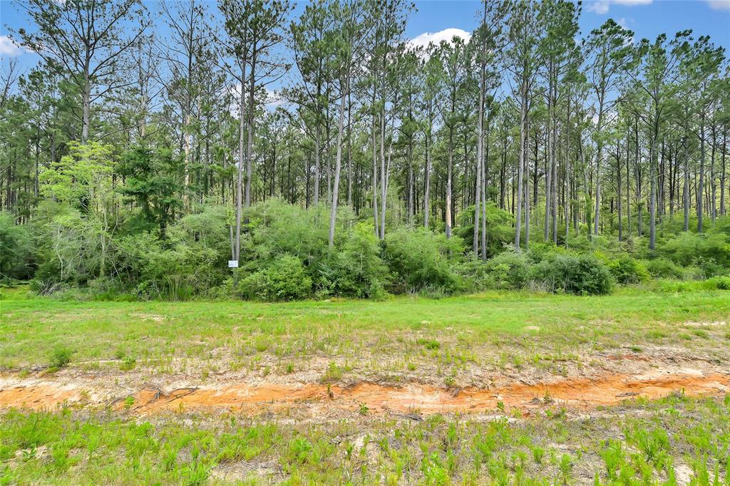 15469 Forest Grove Drive, Willis, Texas image 10