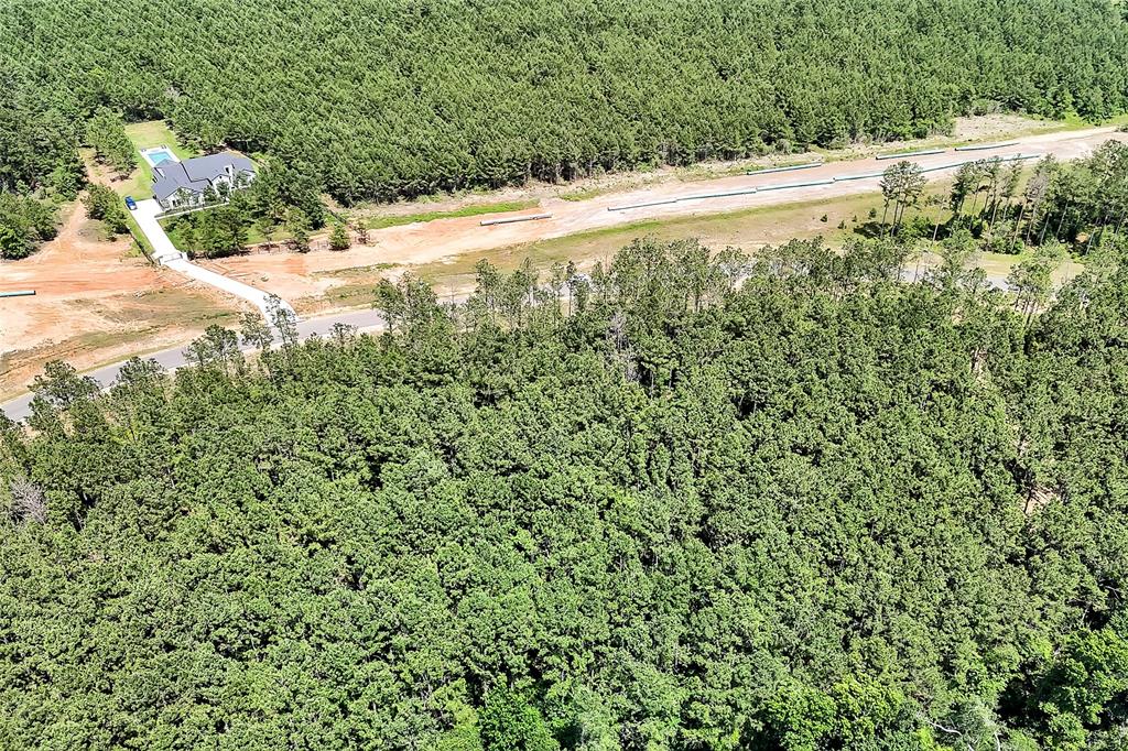 15469 Forest Grove Drive, Willis, Texas image 15