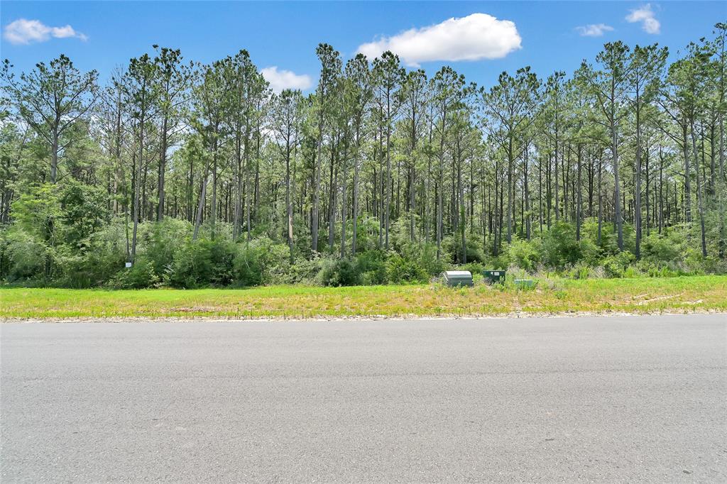 15469 Forest Grove Drive, Willis, Texas image 6