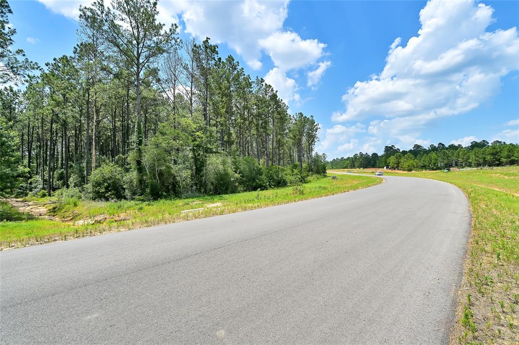 15469 Forest Grove Drive, Willis, Texas image 7