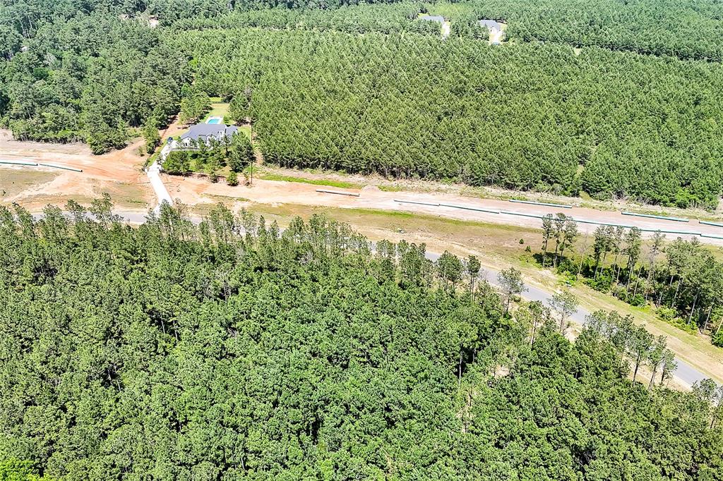 15469 Forest Grove Drive, Willis, Texas image 13