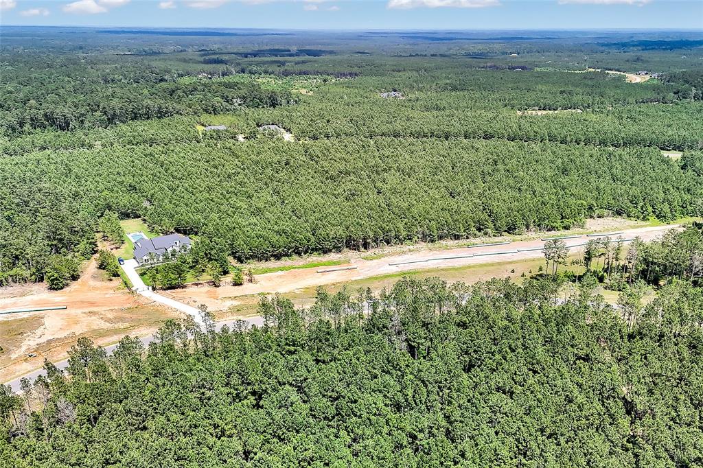 15469 Forest Grove Drive, Willis, Texas image 14