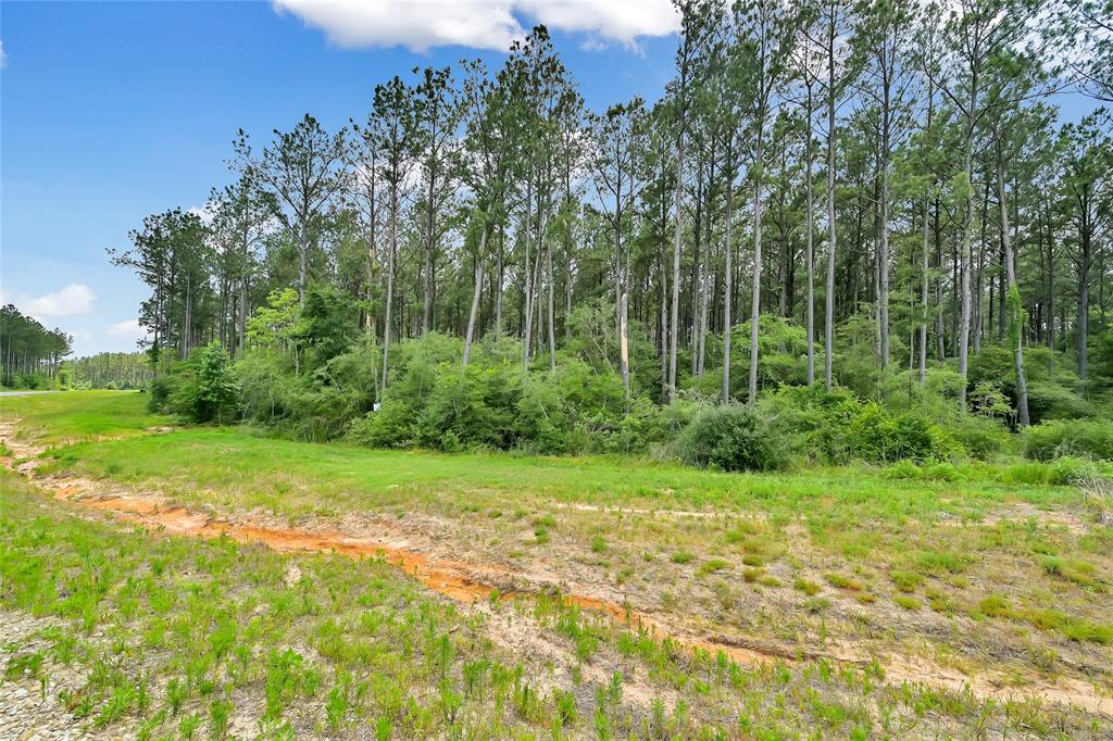 15469 Forest Grove Drive, Willis, Texas image 8