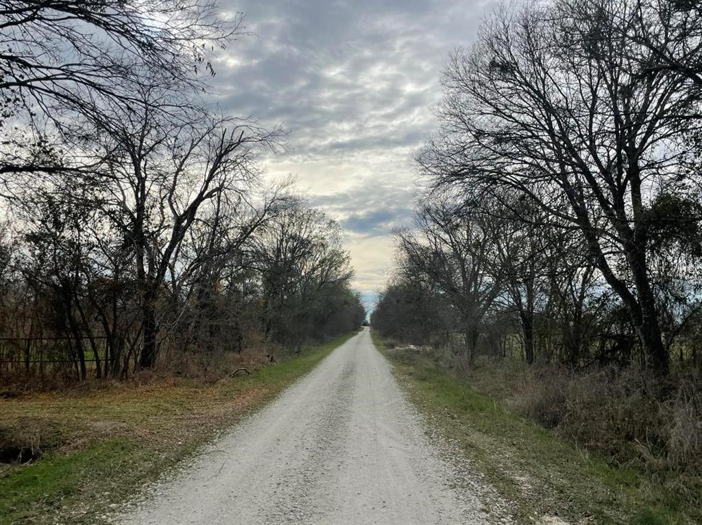 TBD County Rd 243/hwy 7, Kosse, Texas image 4